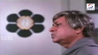 Gharwali Baharwali Hindi Full Movie HD [upl. by Owen]