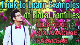 Amazing Tricks to Learn Examples of Families Solanaceae Liliaceae amp Fabaceae  NCERT Mnemonics [upl. by Eikcim125]