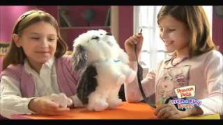 Rescue Pets Train N Play Puppy Commercial [upl. by Acissj]