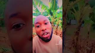 Madiba øg 🔥🔥music odiovideo funny kigalicomedyflims madiba tv show [upl. by Gemperle]