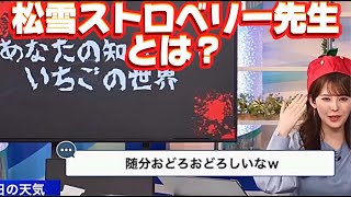 【どんぐりいちご】どんいち先生出勤！松雪ストロベリー先生とは何者【ウェザーニュースLIVE切り抜き小川千奈🍘松雪彩花🎀】 [upl. by Farmer]