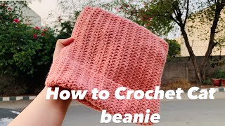 HOW TO Crochet Cat Beanie tutorial Easy  Beginner Friendly [upl. by Pals]