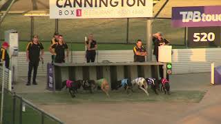 Cannington04112023Race5 [upl. by Enyaj]