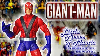 GiantMan Haslab Marvel Legends Series Reseña Revisión Review Little Pieces Plastic [upl. by Joost]