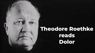 THEODORE ROETHKE reads quotDolorquot [upl. by Fairfield683]