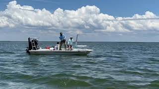 Homosassa Tarpon with Capt Brian Sawyer [upl. by Akirahs490]