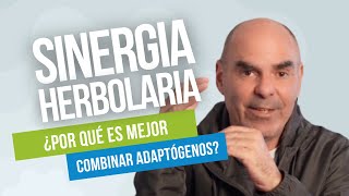 Por qué debes COMBINAR los ADAPTÓGENOS [upl. by Auric]