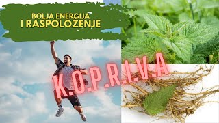 Kopriva  Protiv Umora I Lošeg Raspoloženja 🌿 [upl. by Nilo]