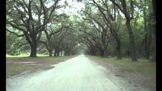 Forrest Gumps Savannah [upl. by Swagerty]