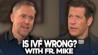 IVF What is the problem  Fr Mike Schmitz [upl. by Watson206]