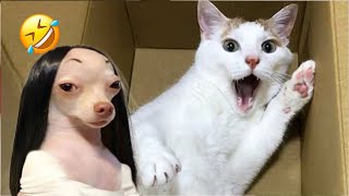 Funniest Cats And Dogs Videos 😁  Best Funny Animal Videos 2024 🥰5 [upl. by Aroon]