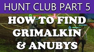 Final Fantasy XII The Zodiac Age How to Find GRIMALKIN amp ANUBYS RARES  The Hunt Club Part 5 [upl. by Garlen]