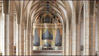 Johann Sebastian Bach – „Toccata dMoll“⎜Albrecht Koch an der SilbermannOrgel im Freiberger Dom [upl. by Ynaffyt244]