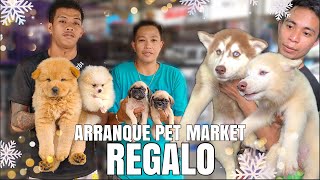 REGALO  ARRANQUE PET MARKET  DECEMBER 21 2023 [upl. by Abbye]