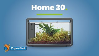 Superfish Home 30  Aquascaping [upl. by Nac724]