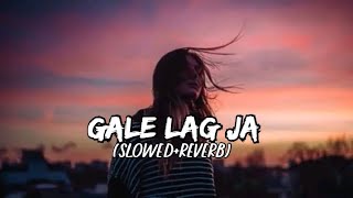 Gale Lag Ja  slowedreverb  song  Lofi reverb AHR [upl. by Mac]