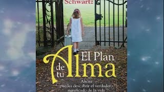 EL PLAN DE TU ALMA  Robert Schwartz [upl. by Haididej]