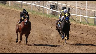 2 Cuadra Ranchito vs Cuadra Polanco a 275 Yardas3 de Nov 2024 3 Amigos Training Center [upl. by Eckmann]