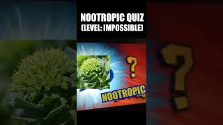 WHAT IS THIS NOOTROPIC 😱 [upl. by Ojimmas]