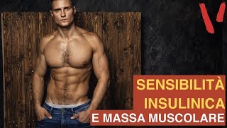 Massa muscolare perchè è importante la sensibilità insulinica [upl. by Artinek]