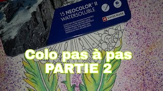 Colo pas à pas  partie 2 les feuilles aux neocolors 2 [upl. by Packston]