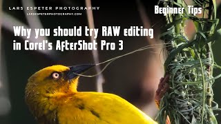 Photography Beginners Tip Why After Shot Pro 3 might be ideal for you [upl. by Laeahcim503]