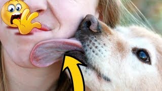 Voici pourquoi vous ne devriez jamais laisser votre chien lécher la bouche [upl. by Attevad]