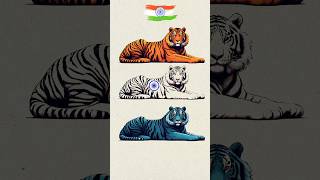 Tiger 🐯 Art 🇮🇳 Indian Flag art 🇮🇳 Independence day special art art shorts short tiger [upl. by Rimma]