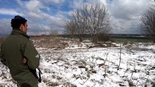 Fox Hunting With Terriers In Bulgaria [upl. by Bobine]