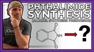 Precursor to the Gabriel Synthesis Making Phthalimide [upl. by Fante]