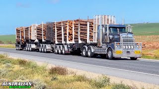 Aussie Truck Spotting Episode 328 Nantawarra South Australia 5550 [upl. by Llennhoj]