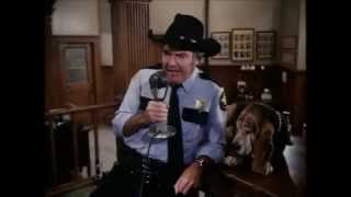 Celebrity Impression  Sheriff Roscoe P Coltrane [upl. by Eselrahc]