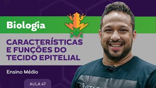 Características e funções do tecido epitelial​  Biologia  Ensino Médio [upl. by Tolley]