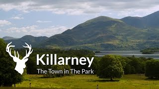 Visit Killarney  Official Destination Video [upl. by Noraha]