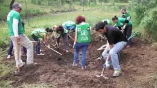 ¿Cómo se construye una charca para anfibios [upl. by Aneeroc]