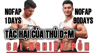 Tác hại của Porn và Đây là những gì tôi đạt đượcsau 90 ngày nofap [upl. by Mil516]