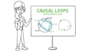 Introduction to Causal Loops [upl. by Nosredna925]