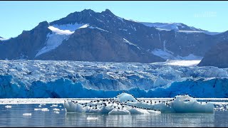 Au Svalbard avec JeanLouis ETIENNE dans le magazine Grands Reportages 531 Teaser [upl. by Hcahsem]