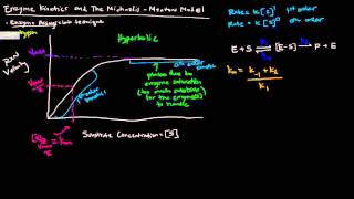 Enzymes Part 2 of 5  Enzyme Kinetics and The Michaelis Menten Model [upl. by Yr]