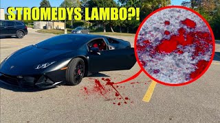 if you ever see a BLOOD TRAIL LEADING TO STROMEDYS LAMBORGHINI RUN AWAY IMMEDIATELY  wtf [upl. by Perron]