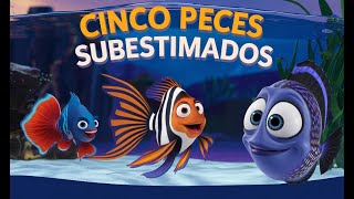 🐟TOP 5 LOS CINCO PECES de acuario comunitarios MÁS SUBESTIMADOS 🐠🌿 peces top5 pecessubestimados [upl. by Brower139]