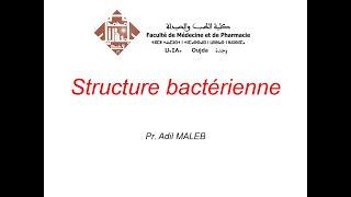 Structure bactérienne [upl. by Nahallac]