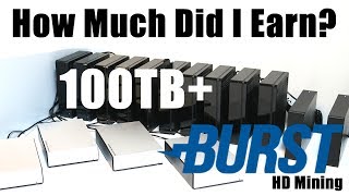 How Much Did I Earn 100TB Burstcoin HardDrive Mining Rig [upl. by Launce]