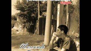 Cappo Historia de Barrio [upl. by Alrick]