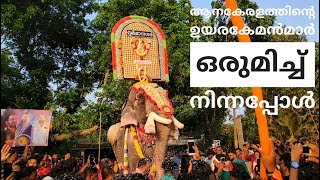 പുതുപ്പള്ളിയും കാളിയും ചുള്ളിയും Elephants in Kerala ആന chulliparambil vishnushankar kalidasan [upl. by Chester736]