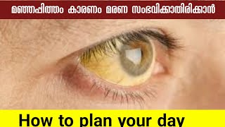 മഞ്ഞപ്പിത്തം കാരണം മരണ സംഭവിക്കാതിരിക്കാൻ How to plan your day [upl. by Drofdeb939]