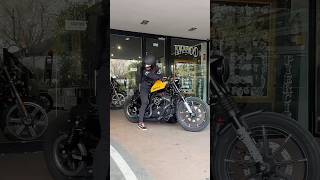 Harley bikeiron 883harleydavidsonharleyloverviralshortvideo [upl. by Auqinaj469]