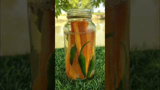 Spicy Sour Pickled Carrots You Cant Stop Eating shorts [upl. by Temme]