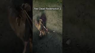 Red Dead Redemption 2 guide [upl. by Ekle35]