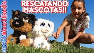 🐱 RESCATANDO MASCOTAS 🐶 Rescue Runts gato perro y unicornio [upl. by Nylzor]